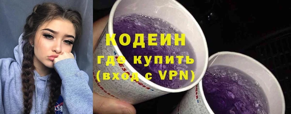 ПСИЛОЦИБИНОВЫЕ ГРИБЫ Гусев