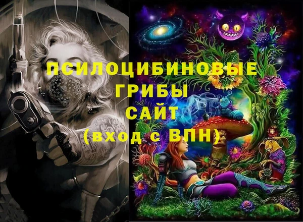 ПСИЛОЦИБИНОВЫЕ ГРИБЫ Гусев