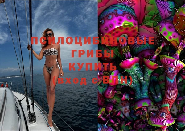 ПСИЛОЦИБИНОВЫЕ ГРИБЫ Гусев