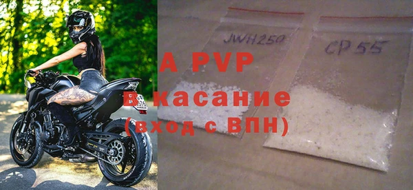 ПСИЛОЦИБИНОВЫЕ ГРИБЫ Гусев