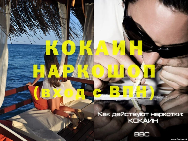ПСИЛОЦИБИНОВЫЕ ГРИБЫ Гусев