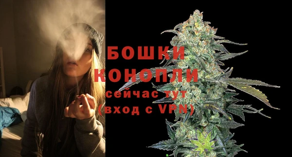 ПСИЛОЦИБИНОВЫЕ ГРИБЫ Гусев